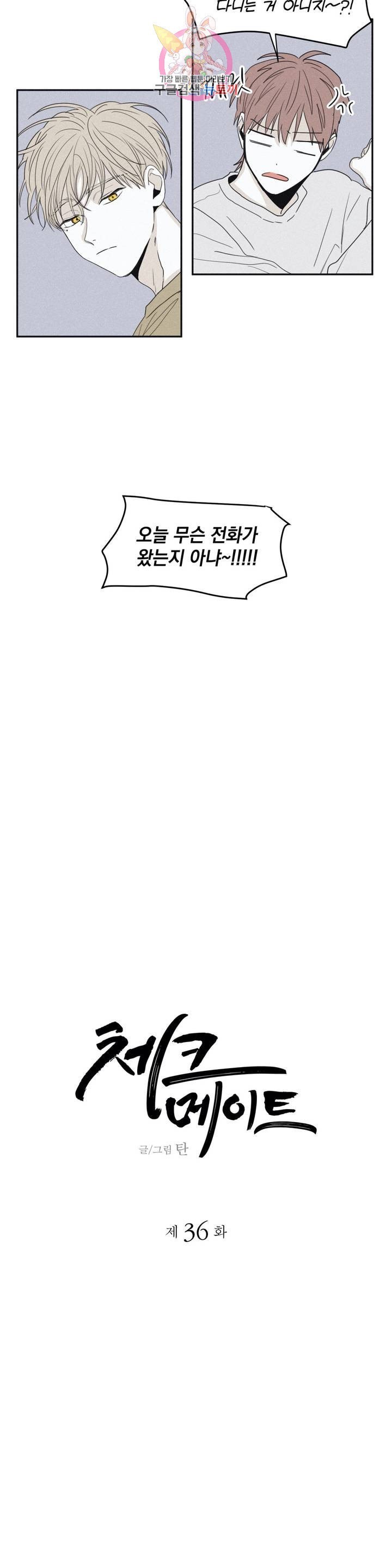 16101917768116.jpeg